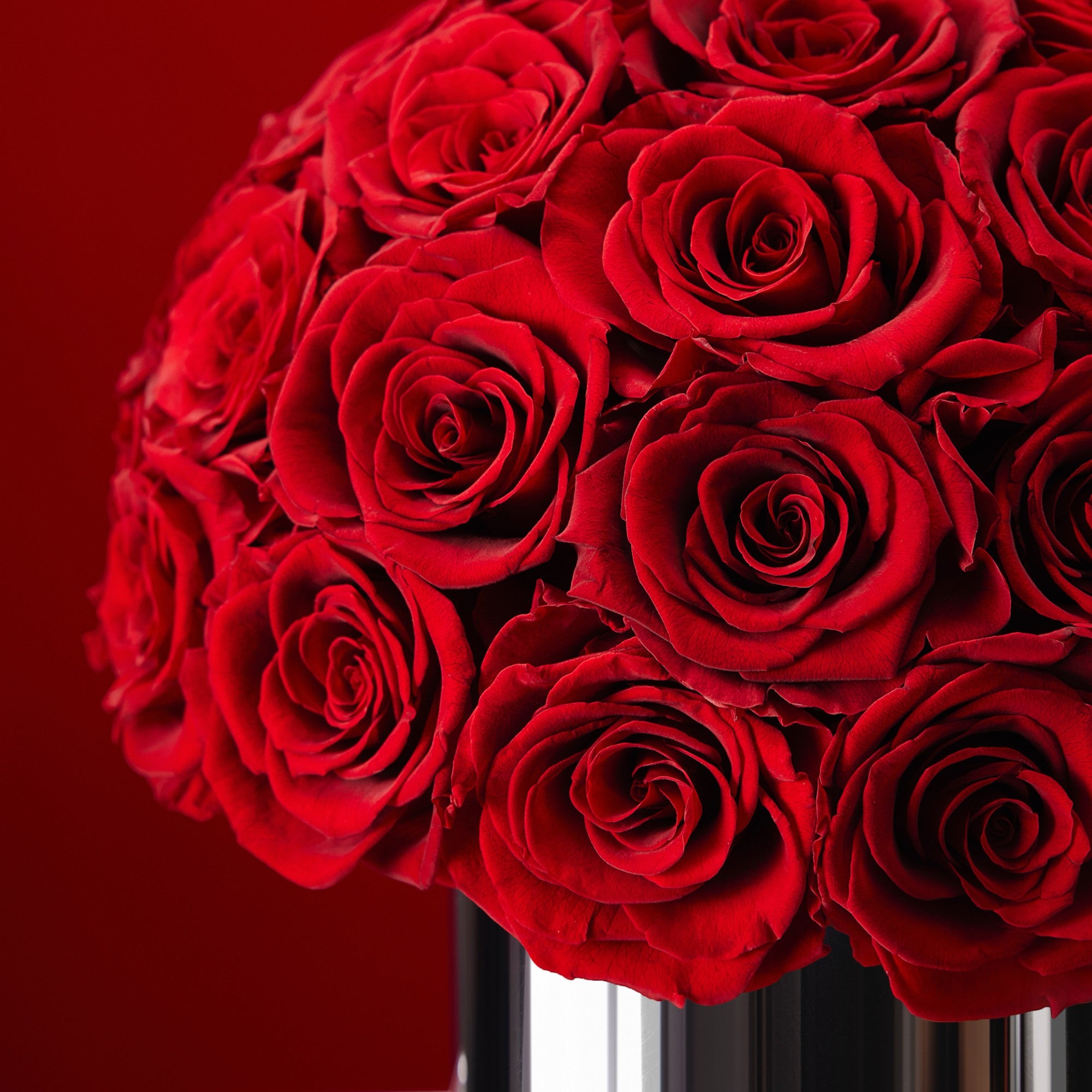 Rahma Roses - Medium - Dark Red