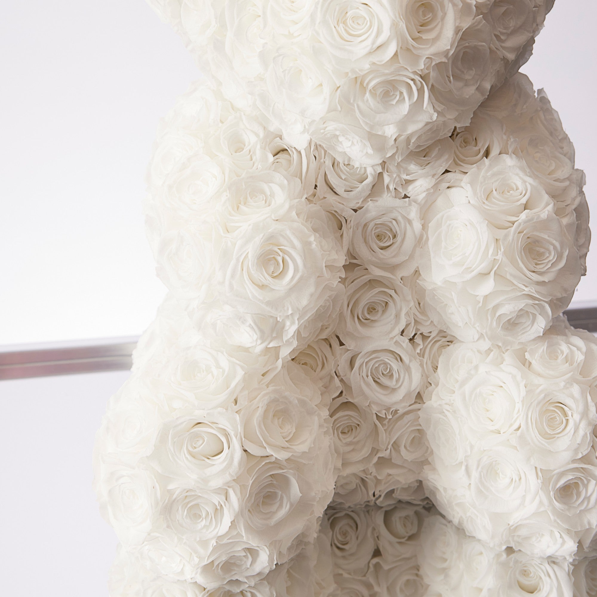 Erina Roses - Medium - White