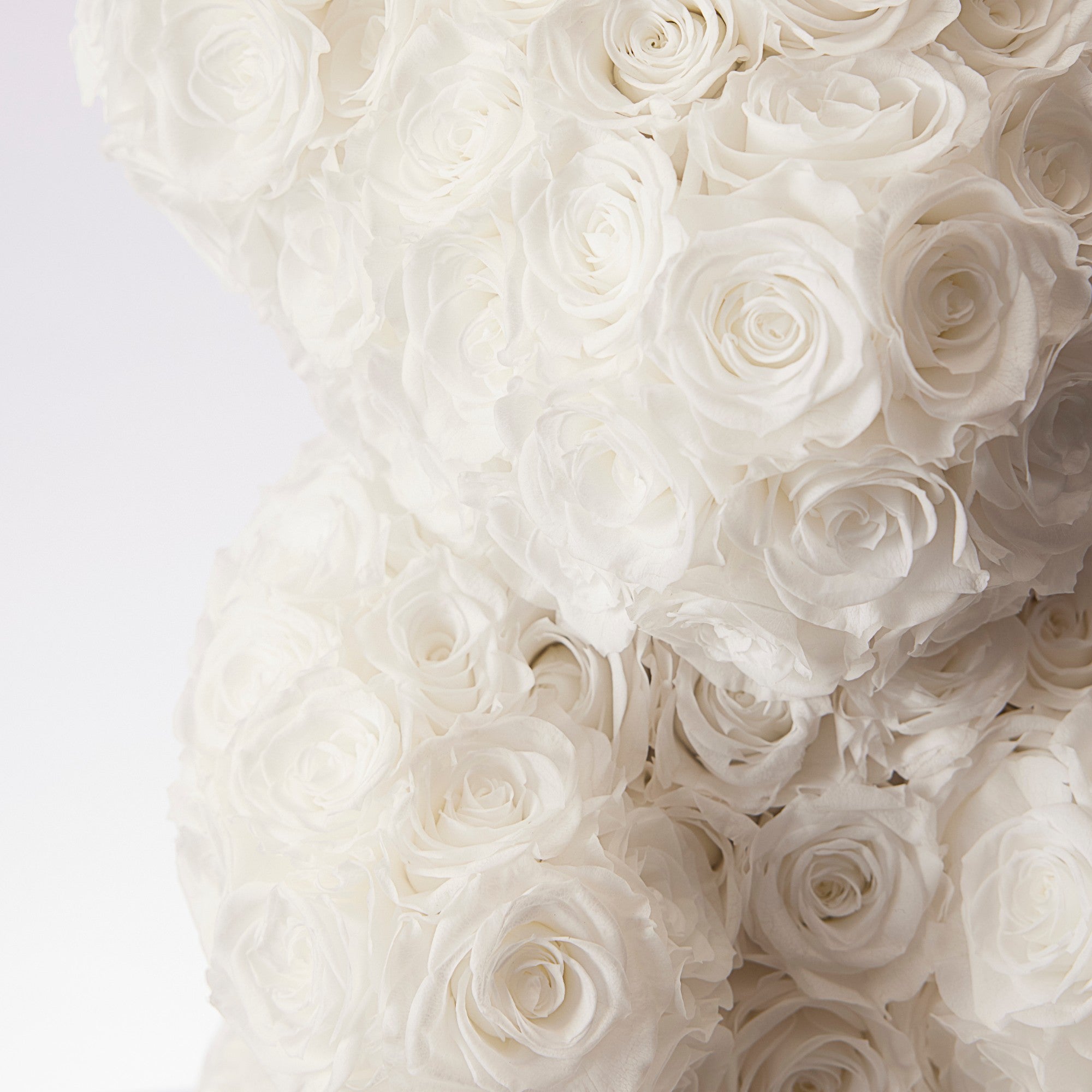 Erina Roses - Medium - White