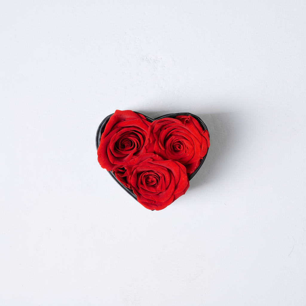 Rouhi Collection - Mini Rouhi