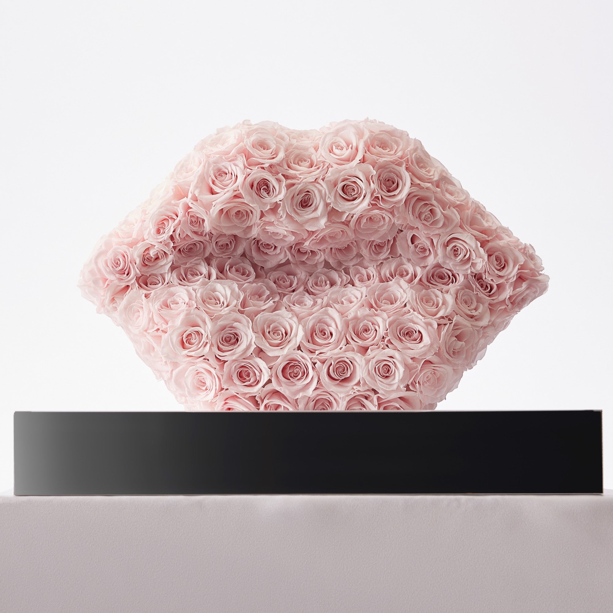 Ersa Roses - Baby Pink