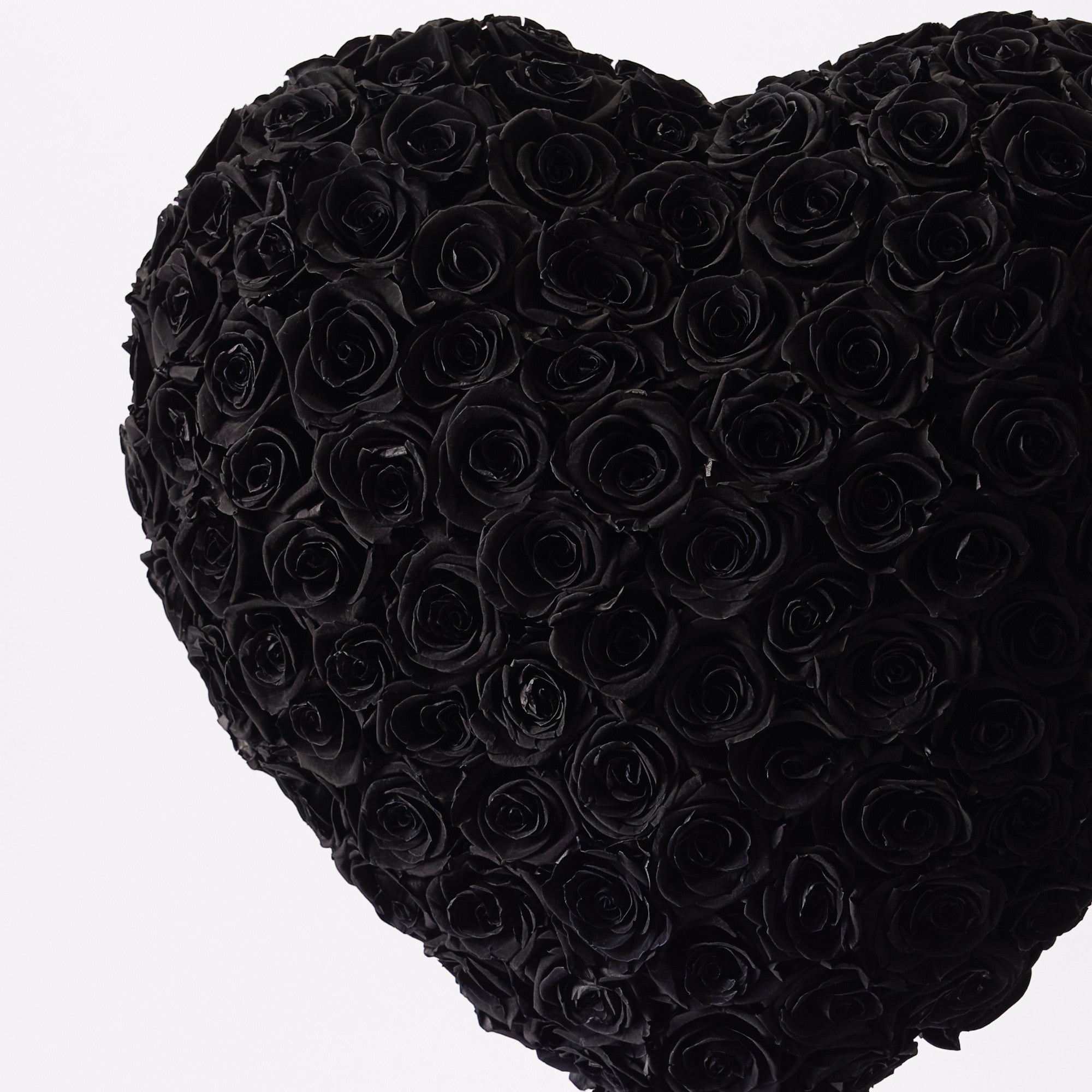 Aleeza Roses - Medium - Black