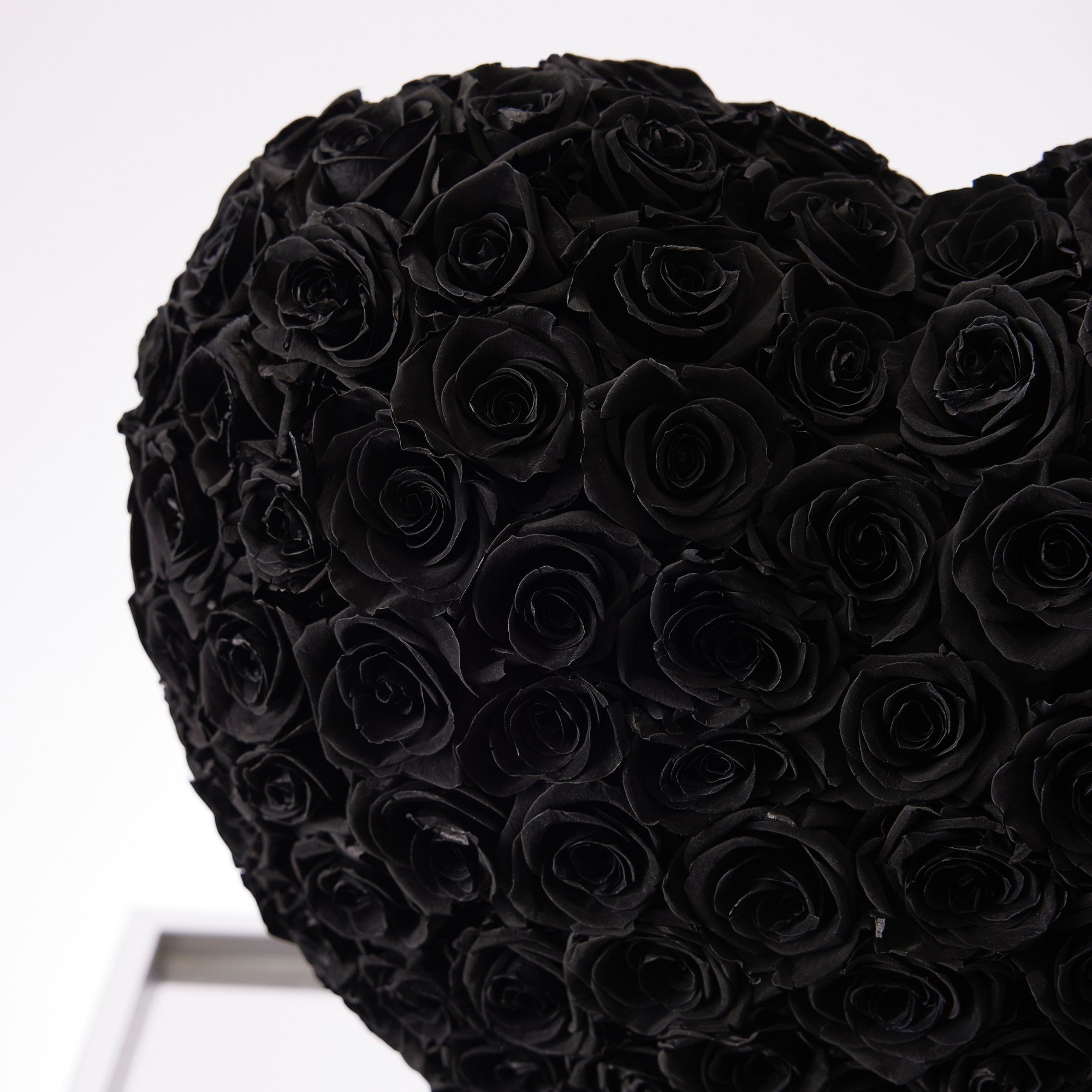 Aleeza Roses - Medium - Black