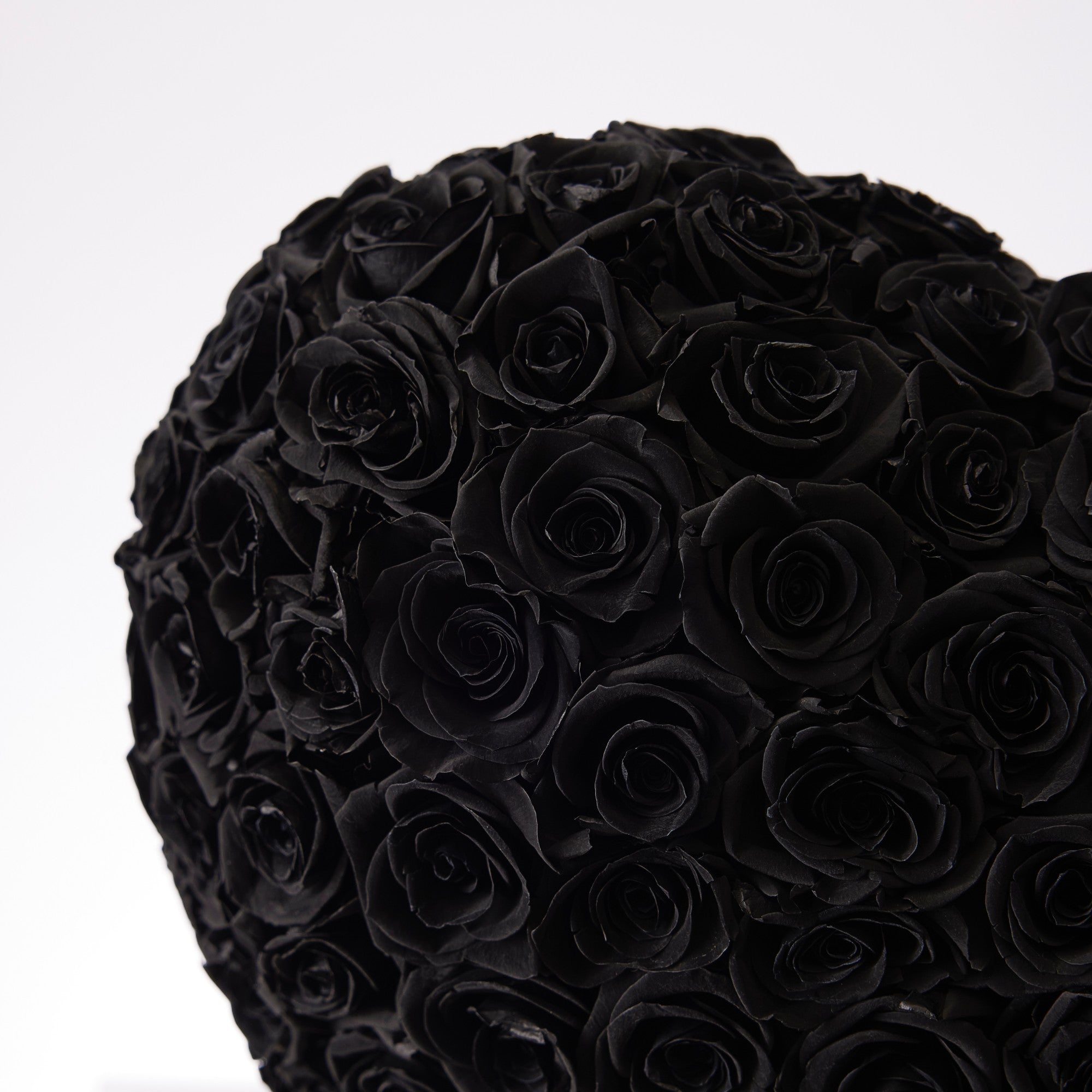 Aleeza Roses - Medium - Black