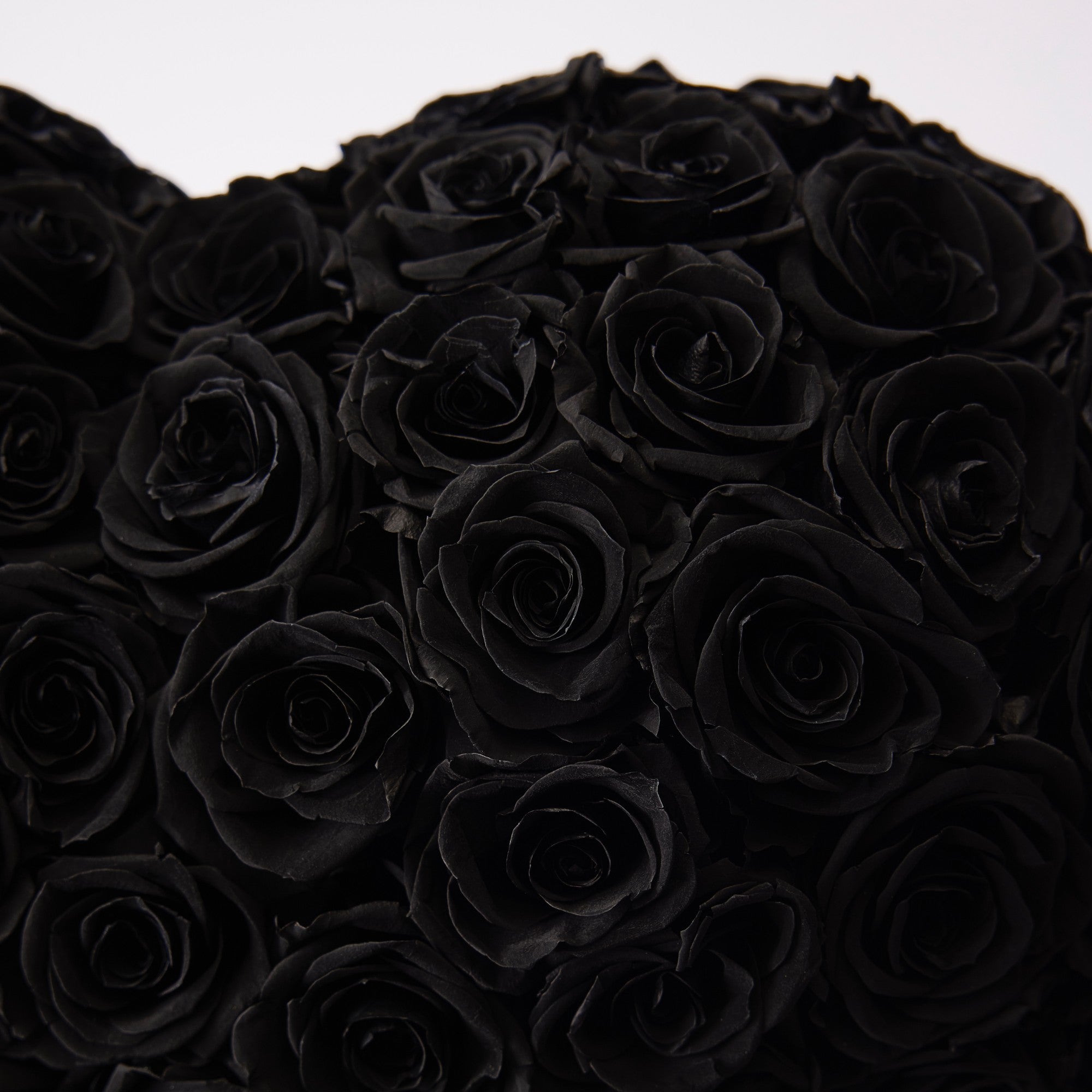 Aleeza Roses - Medium - Black