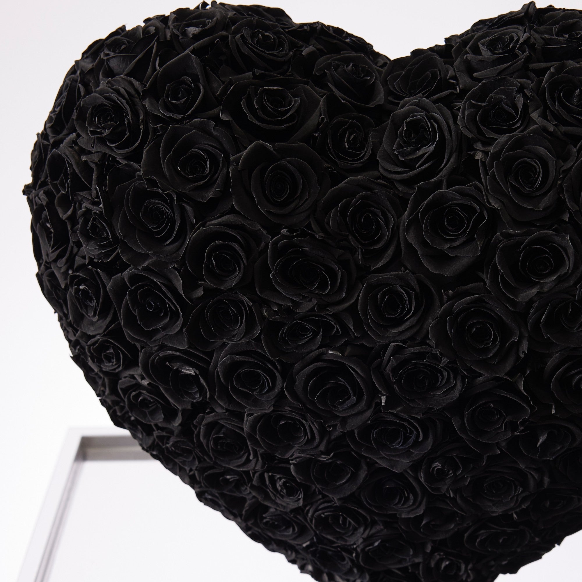 Aleeza Roses - Medium - Black