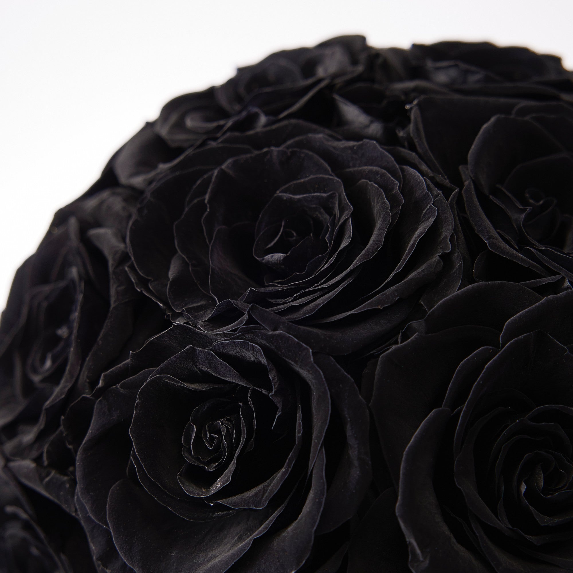 Maira Roses - Mini - Black