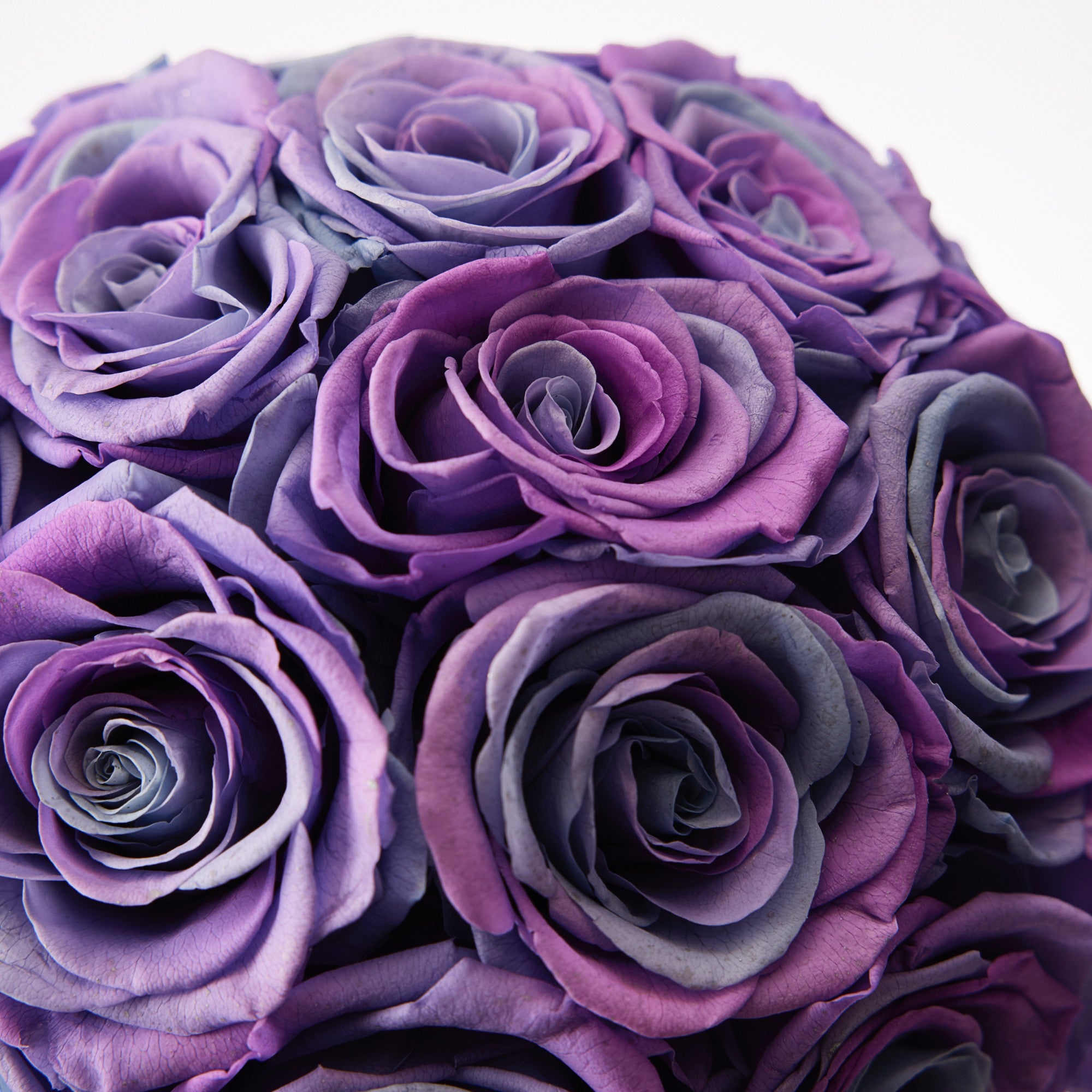 Maira Roses - Mini - Lilac