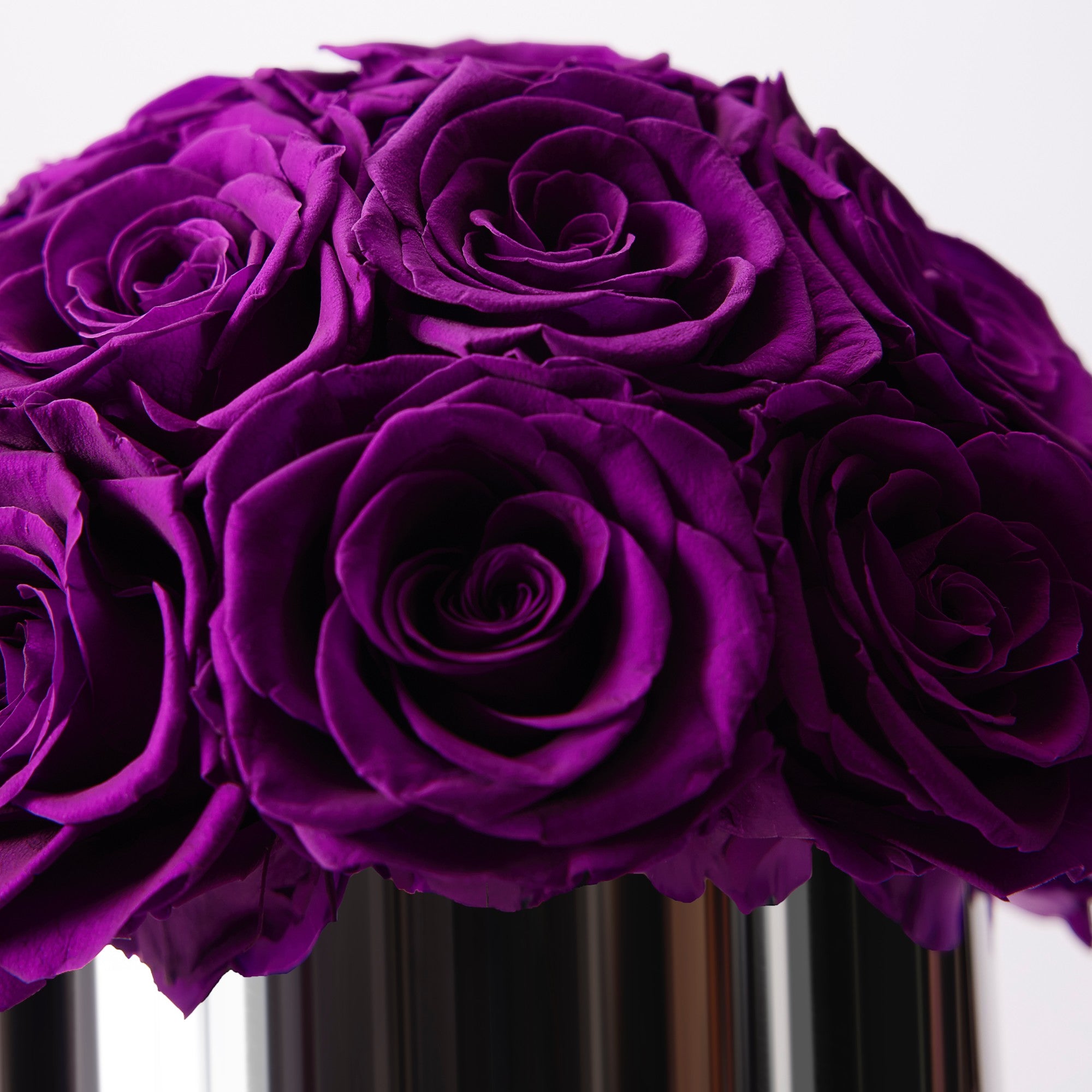 Maira Roses - Mini - Purple