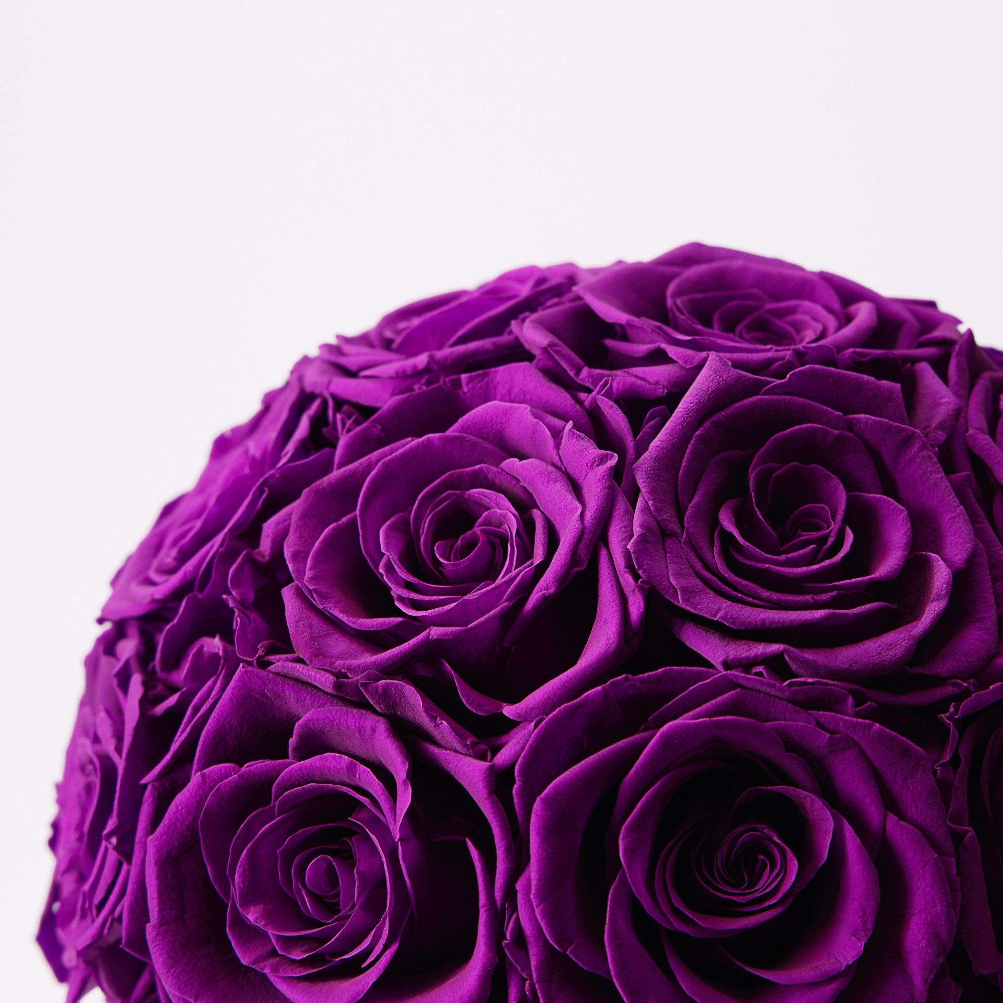 Maira Roses - Mini - Purple