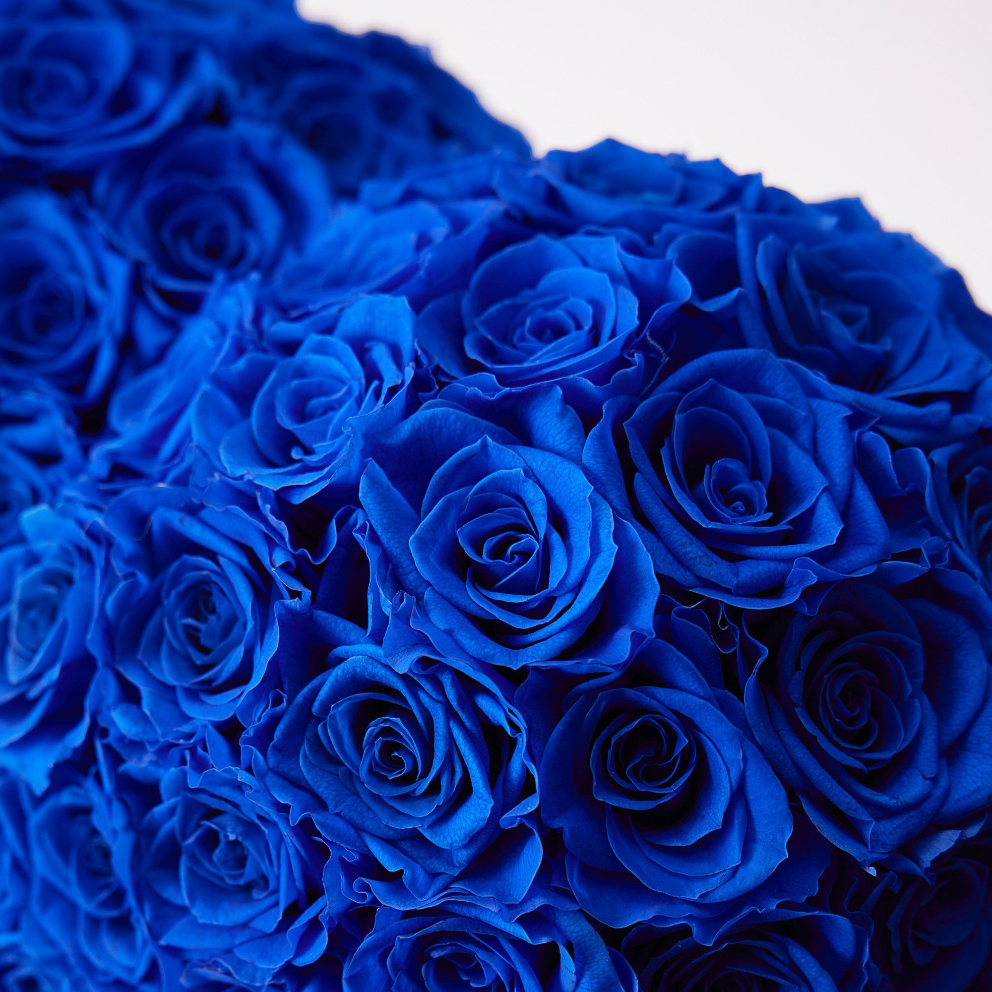 Amira Rotatable Roses - Cobalt Blue