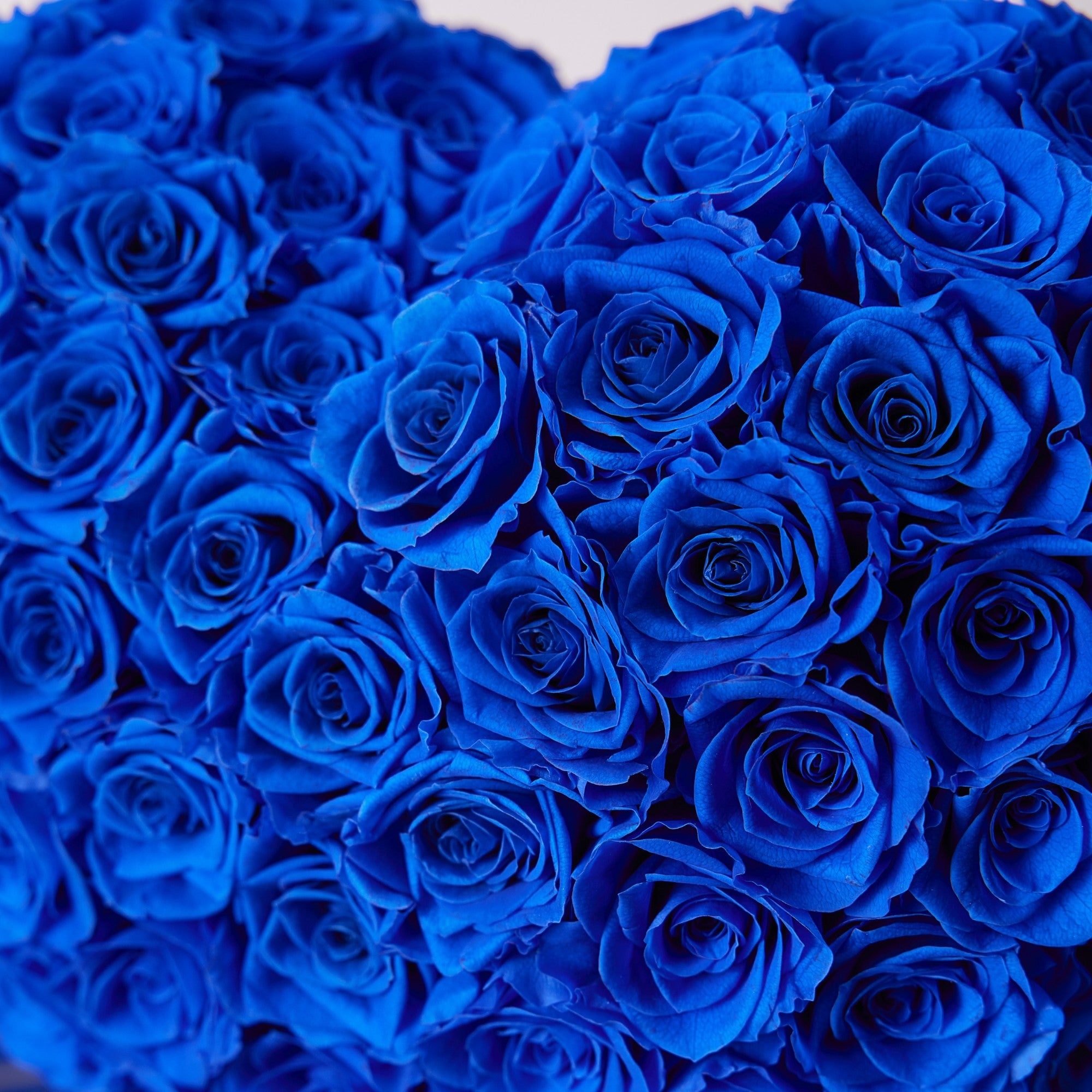 Amira Rotatable Roses - Cobalt Blue