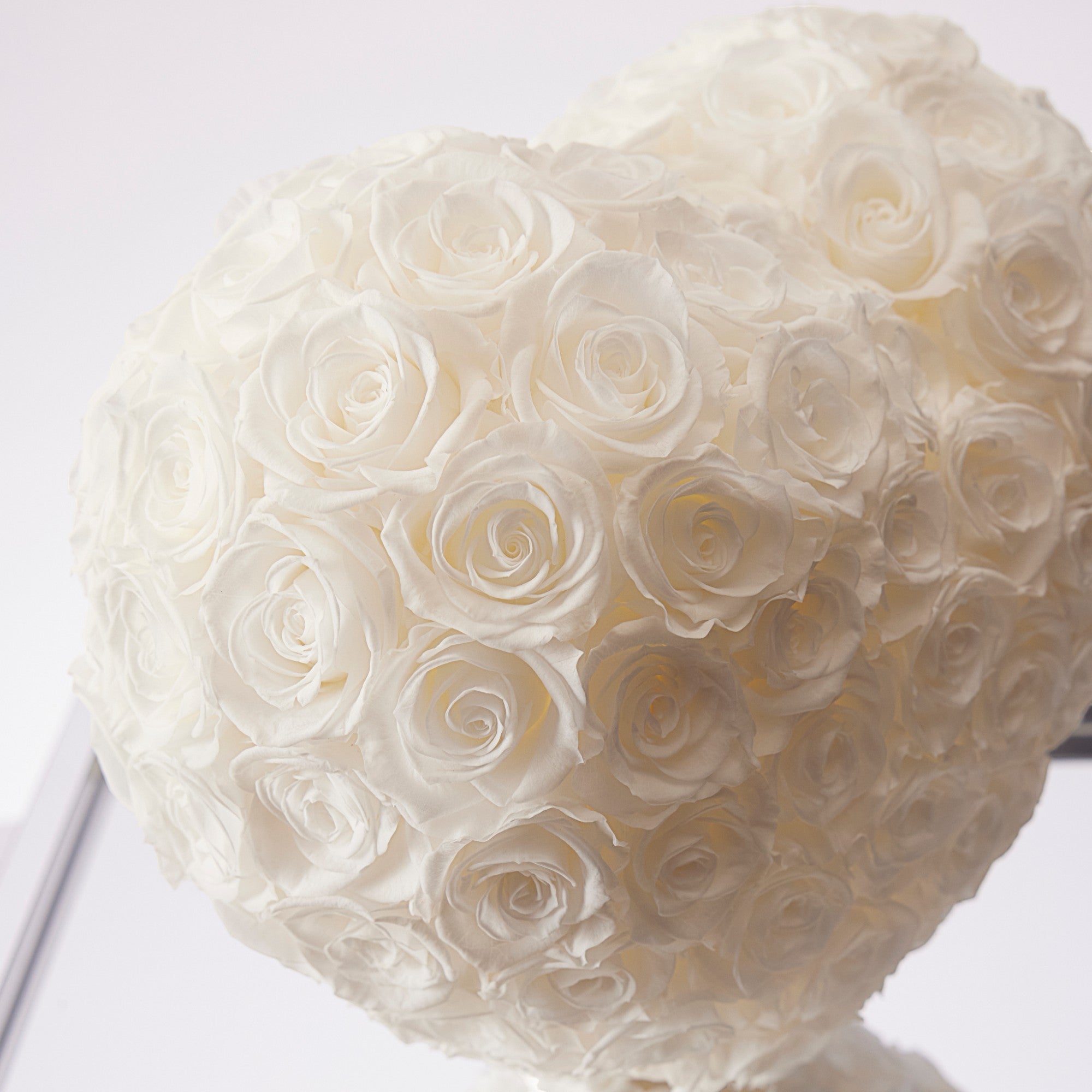 Amira Rotatable Roses - White