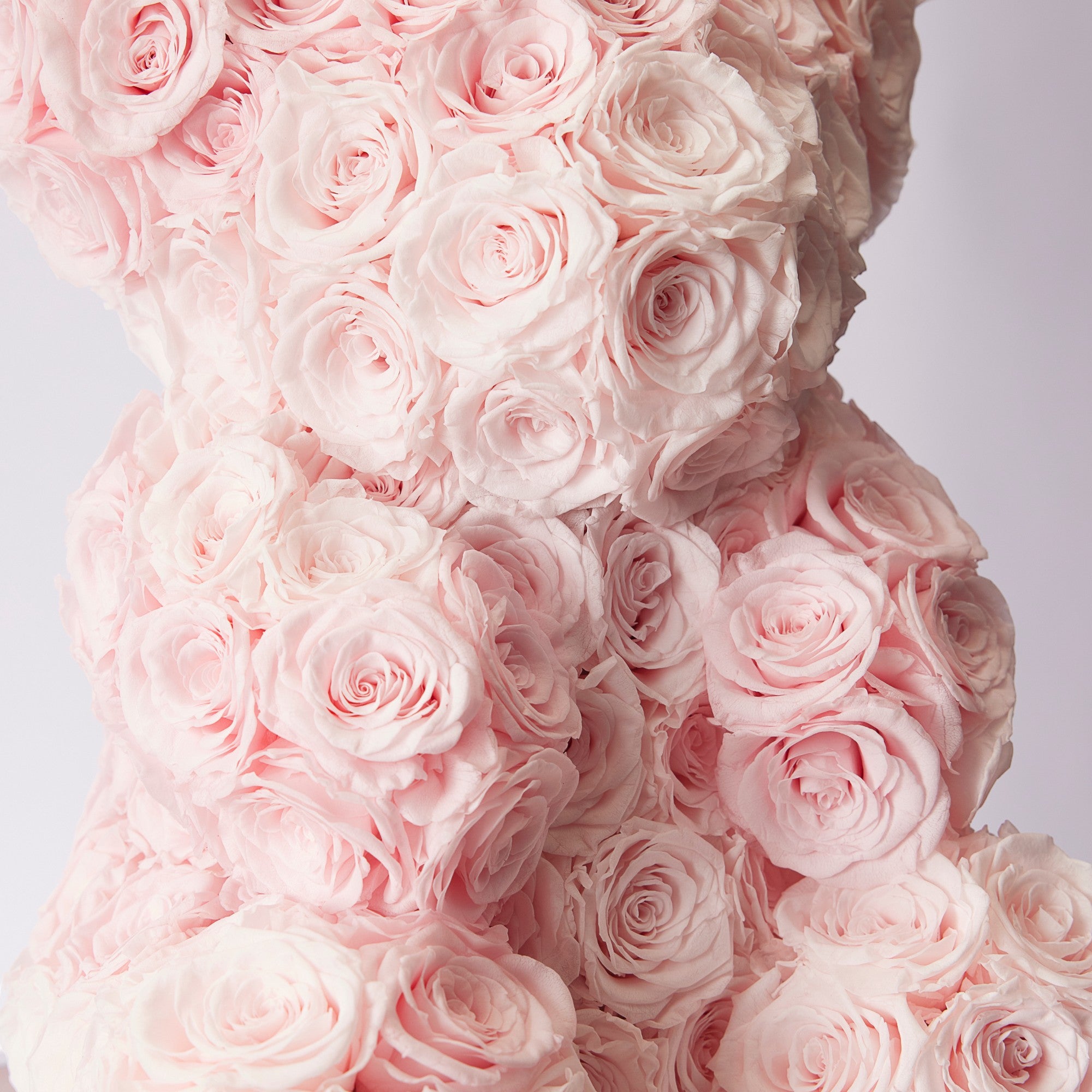 Erina Roses - Medium - Baby Pink