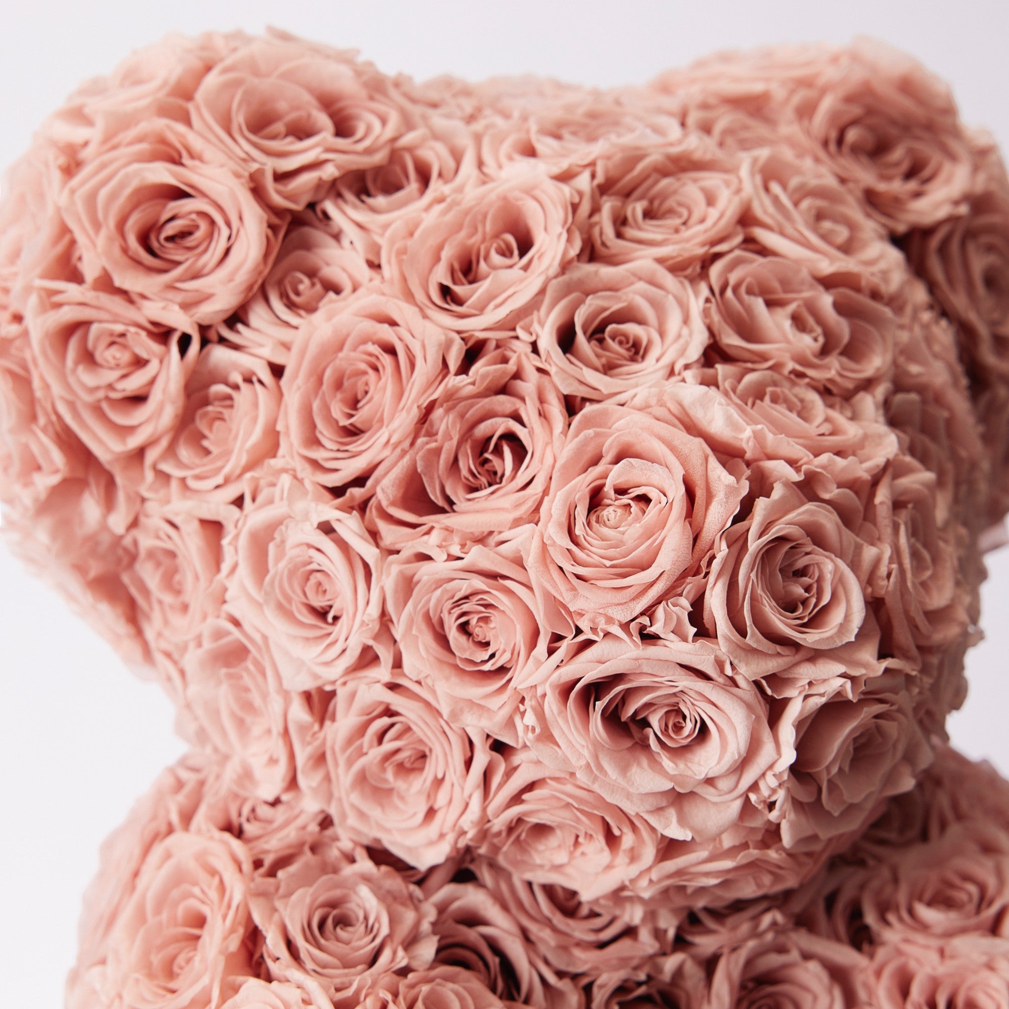 Erina Roses - Medium - Dusky Pink